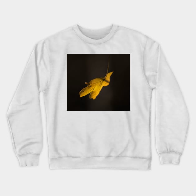 Autumn Leaf Crewneck Sweatshirt by Nigdaw